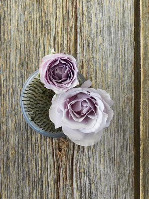 Silver Mikado  Lt Lavender Spray Roses